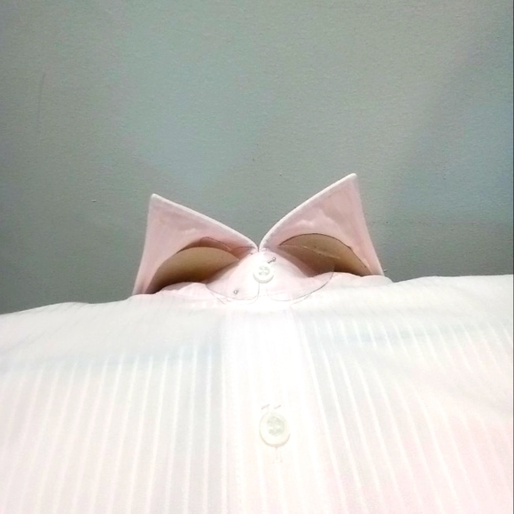 CORUM by VAN HEUSEN SHIRT - Picture 3 of 10